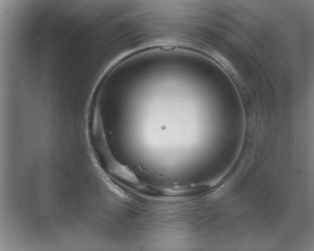 X0000069790854200605261655