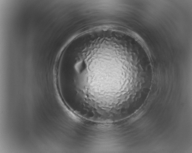 X0000069790859200605261655