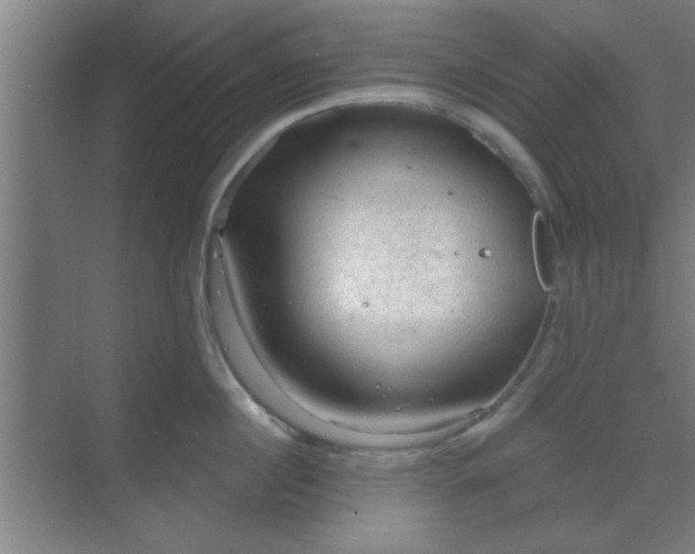 X0000069790860200605261655