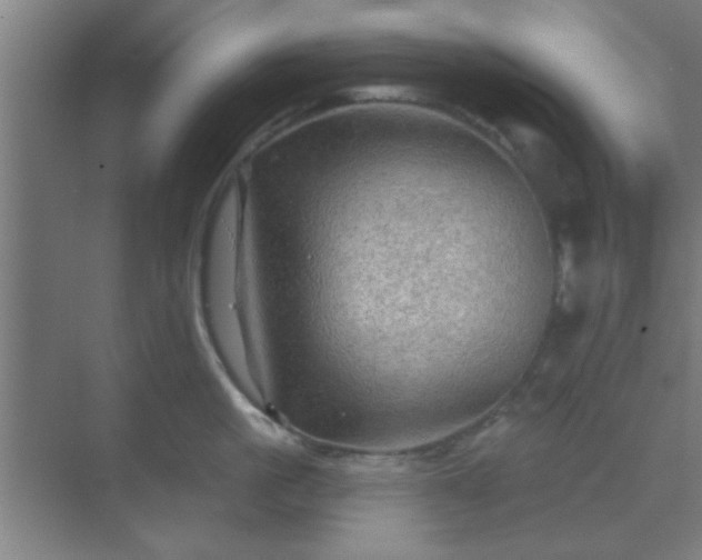 X0000069790861200605261655