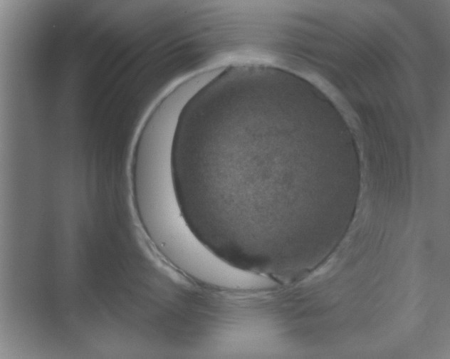 X0000069790864200605261655