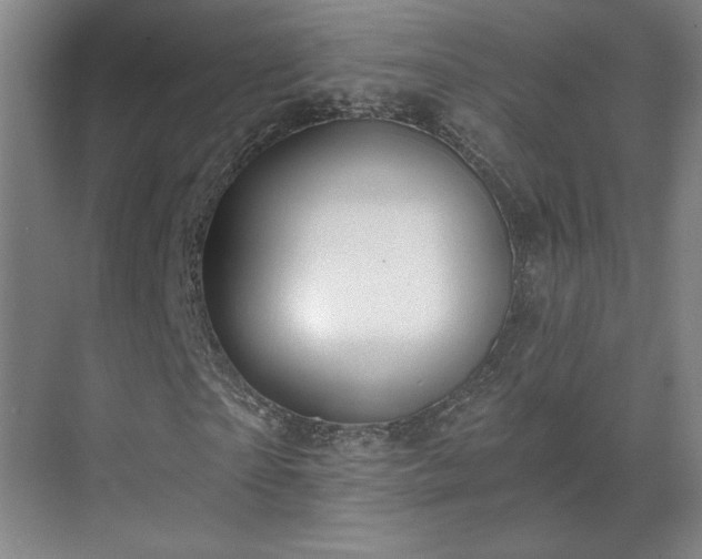 X0000069790865200605261654