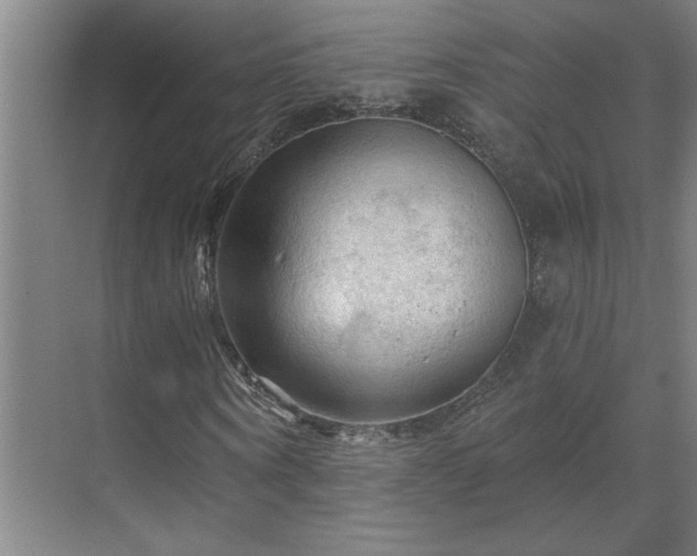 X0000069790866200605261654