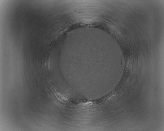 X0000069790868200605261654