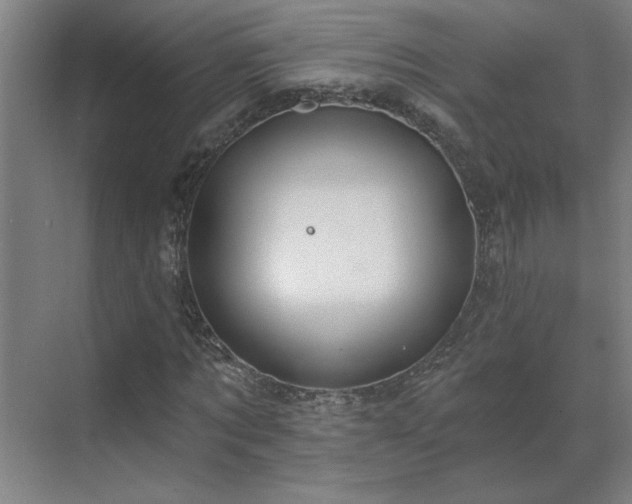 X0000069790869200605261654