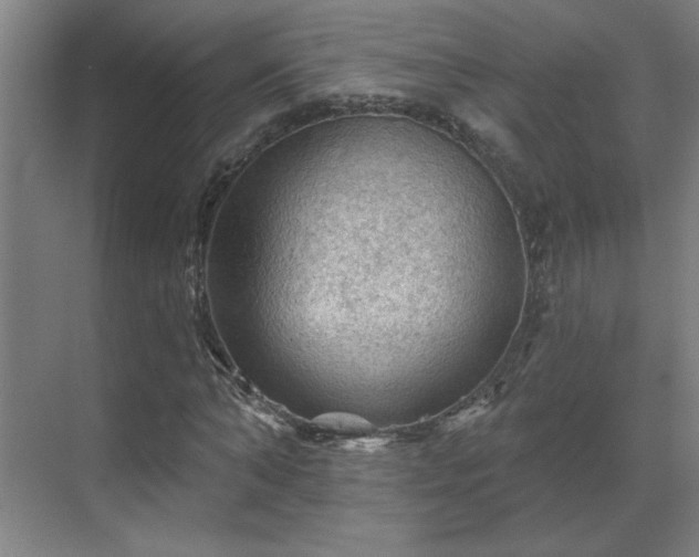 X0000069790870200605261654