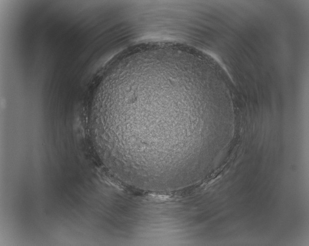 X0000069790871200605261654