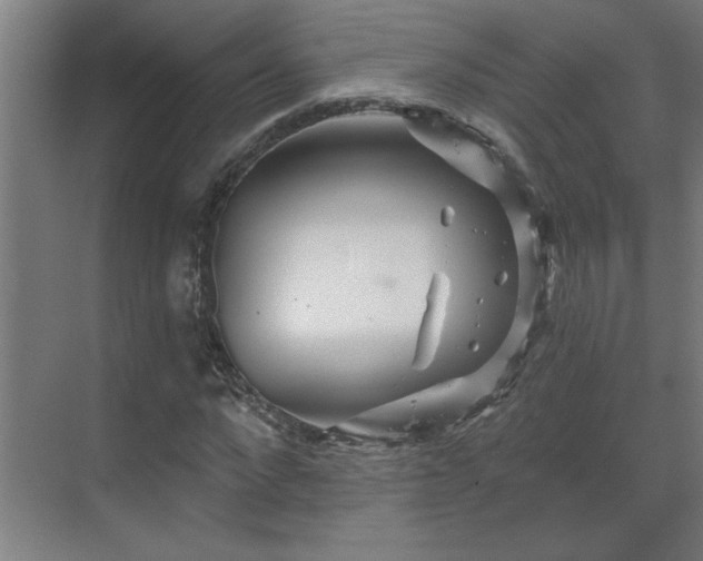 X0000069790872200605261654