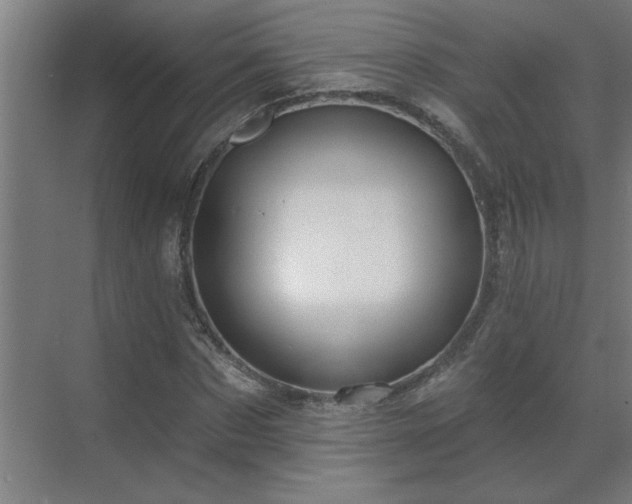 X0000069790873200605261654