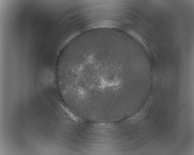 X0000069790874200605261654