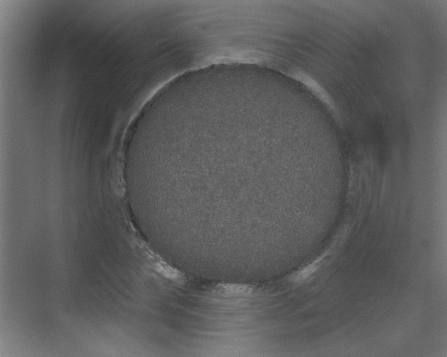 X0000069790878200605261654