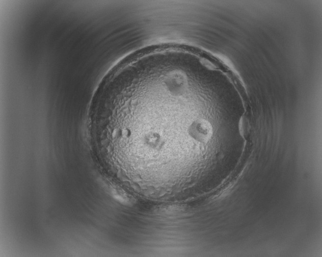 X0000069790879200605261654