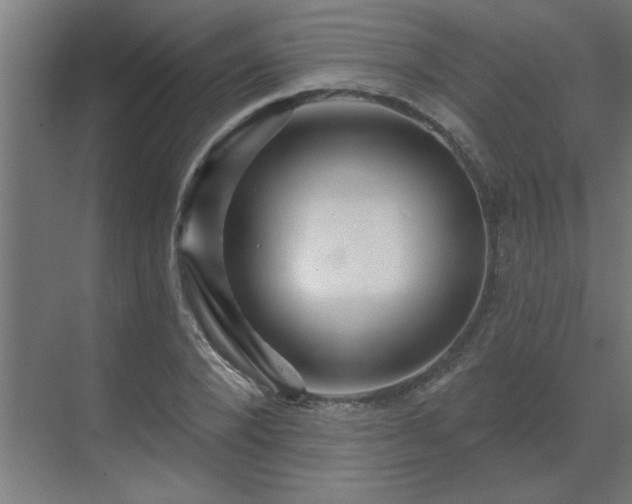 X0000069790880200605261654