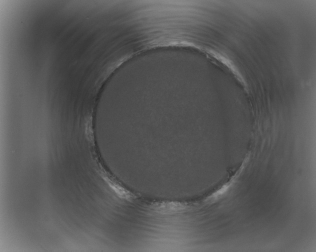 X0000069790881200605261654