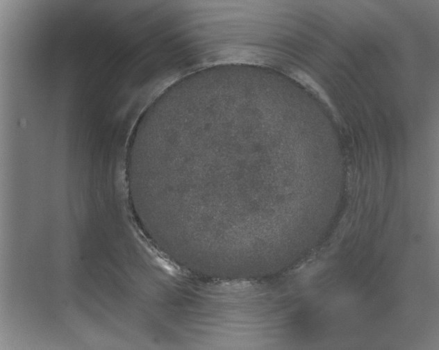 X0000069790882200605261654