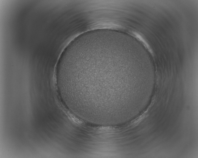 X0000069790883200605261654