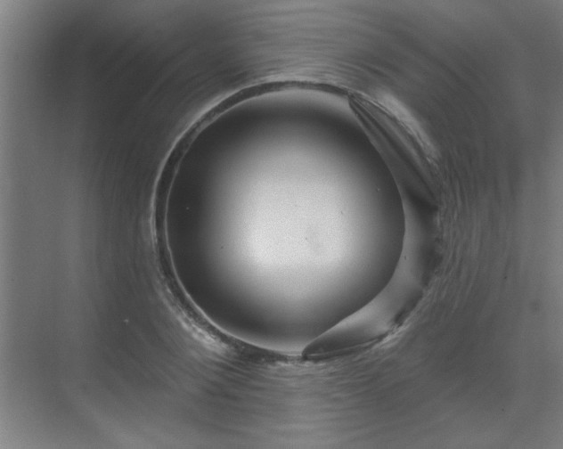 X0000069790884200605261654