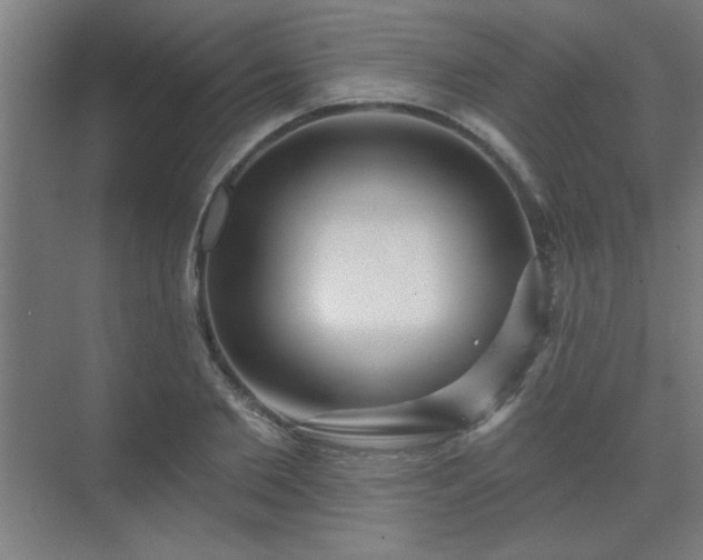 X0000069790885200605261654