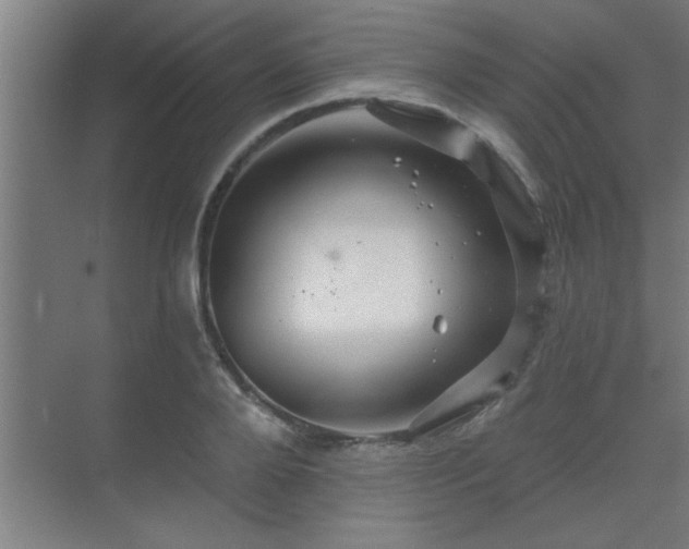 X0000069790888200605261654