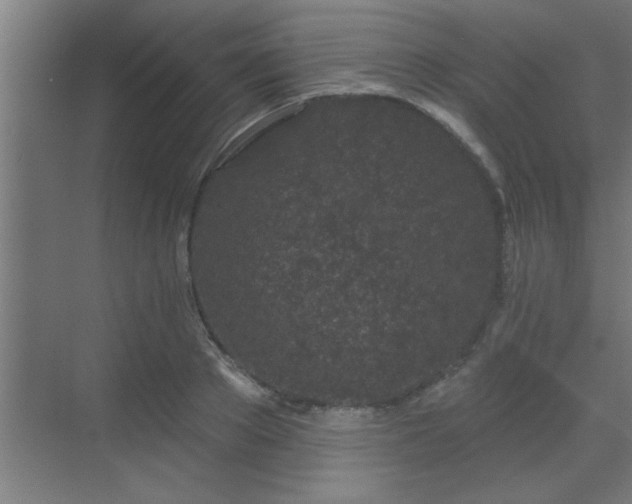 X0000069790889200605261654