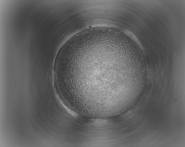 X0000069790890200605261654