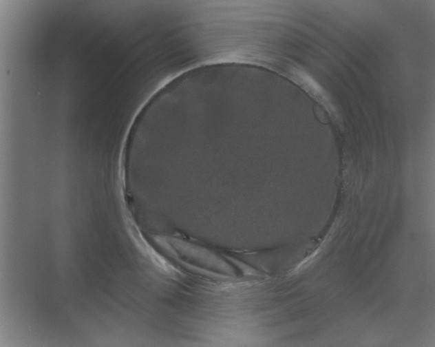 X0000069790892200605261654