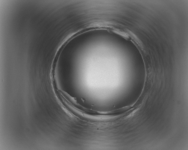 X0000069790893200605261654