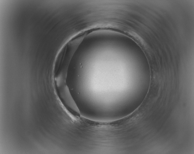 X0000069790894200605261654