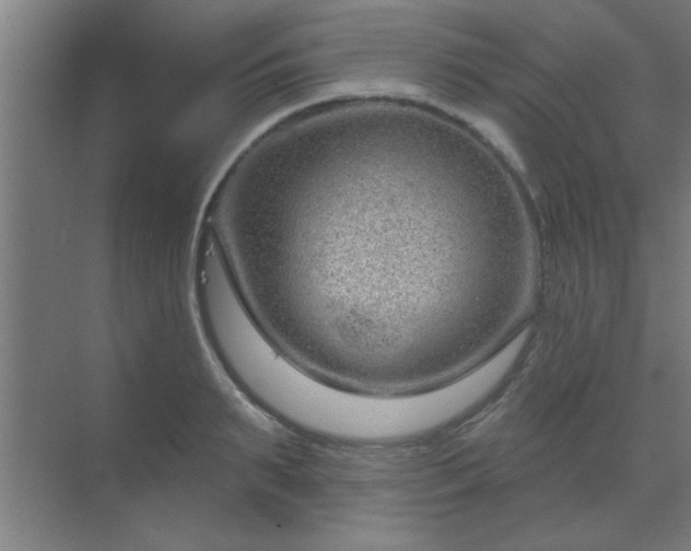 X0000069790895200605261654