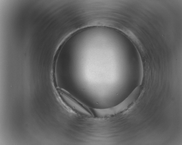 X0000069790896200605261654