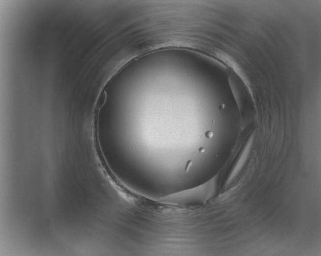 X0000069790898200605261654