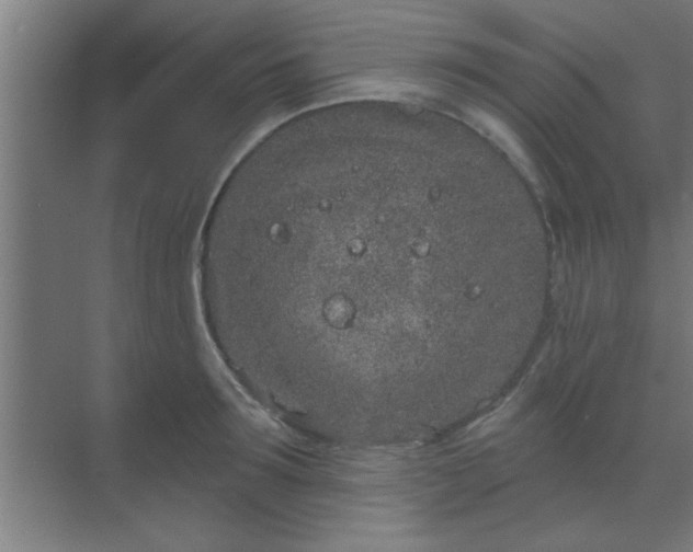 X0000069790899200605261654