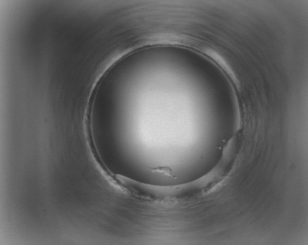 X0000069790901200605261653