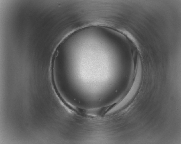 X0000069790902200605261653