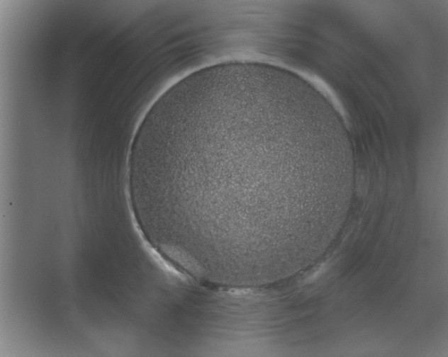 X0000069790903200605261653