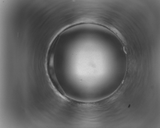 X0000069790904200605261653