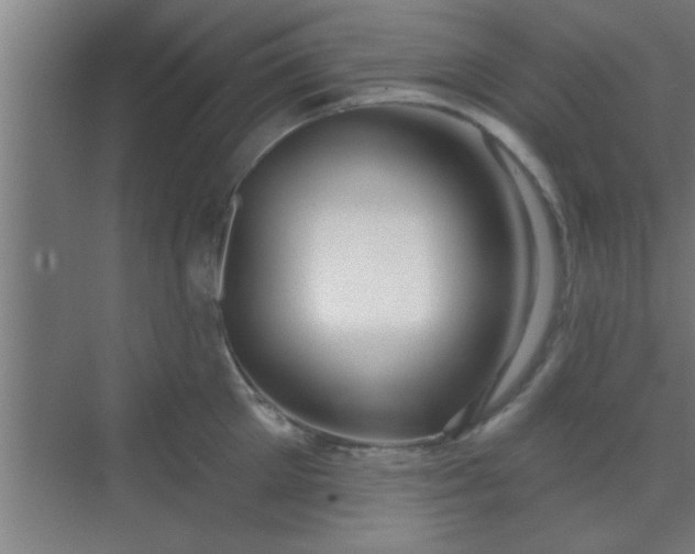 X0000069790905200605261653