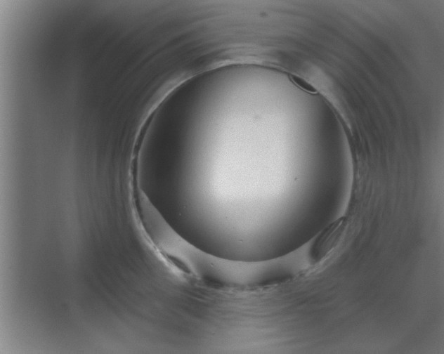 X0000069790906200605261653