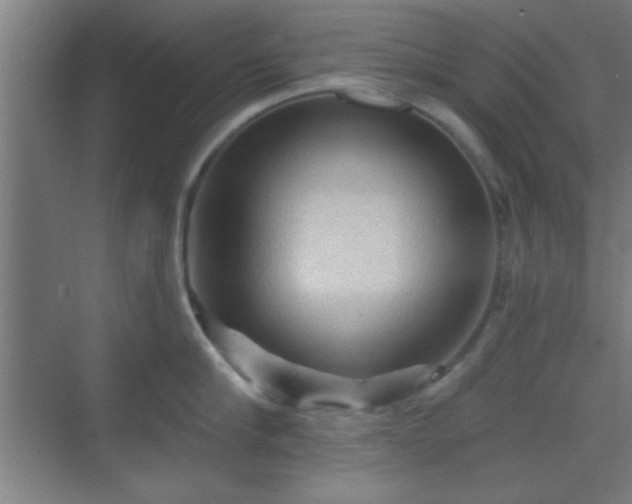 X0000069790910200605261653