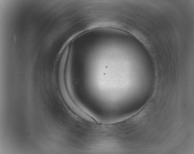 X0000069790912200605261653