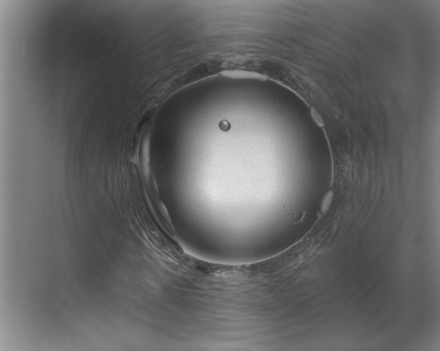 X0000069790914200605261653