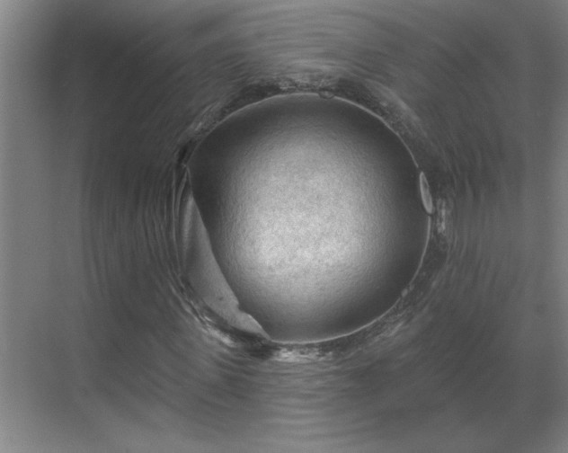 X0000069790915200605261653