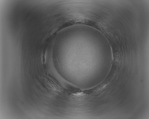 X0000069790916200605261653