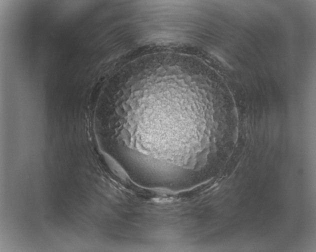 X0000069790917200605261653