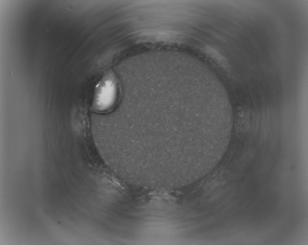 X0000069790918200605261653