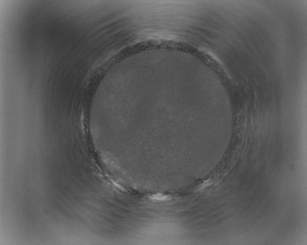 X0000069790919200605261653