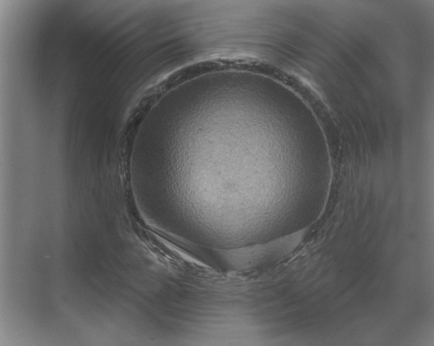 X0000069790920200605261653