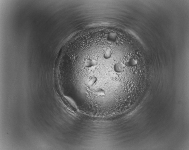 X0000069790921200605261653