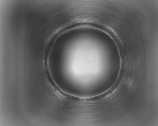 X0000069790922200605261653