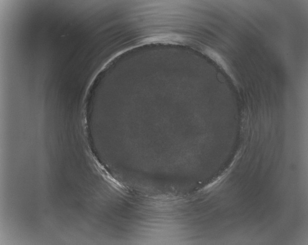 X0000069790923200605261653